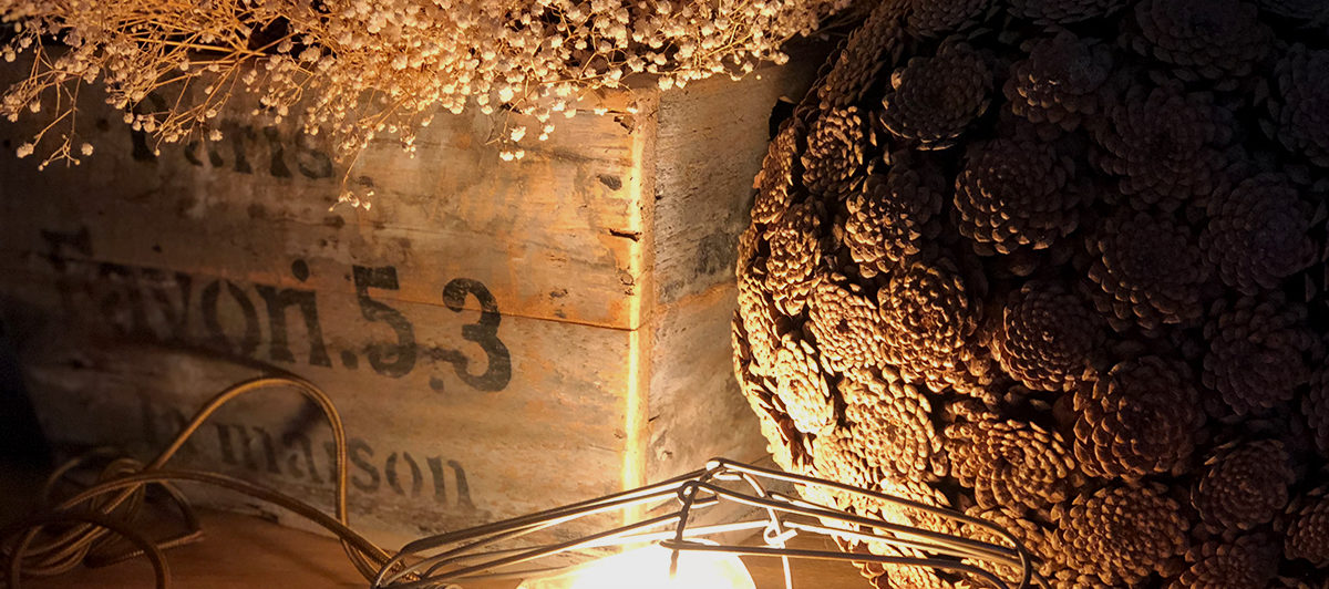 damano DEEVIKA light